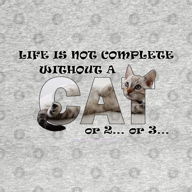 Life is not complete without a cat or 2 or 3 - silver tabby cat oil painting word art by DawnDesignsWordArt